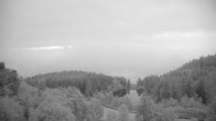 Archiv Foto Webcam Bozen: Hotel Lichtenstern 03:00