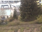 Archived image Webcam Hotel Angerhof in Sankt Englmar (Lower Bavaria) 11:00