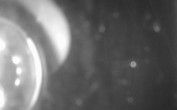 Archiv Foto Webcam Blick auf den Erlaufsee bei Mariazell 23:00