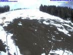 Archived image Webcam Gemeindealpe Ski Resort - Birkihang 11:00