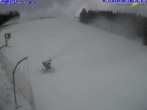 Archived image Webcam Gemeindealpe Ski Resort - Birkihang 09:00