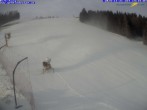 Archiv Foto Webcam Gemeindealpe Mitterbach Birkihang 13:00