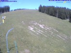 Archiv Foto Webcam Gemeindealpe Mitterbach Birkihang 11:00