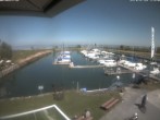 Archived image Webcam Marina Rheinhof Altenrhein - Lake Constance 11:00
