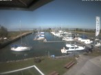 Archived image Webcam Marina Rheinhof Altenrhein - Lake Constance 13:00