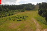 Archiv Foto Webcam Tanvaldsky Spicak - Slalomák 11:00