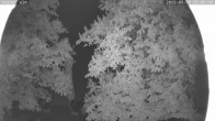 Archiv Foto Webcam Nordisches Langlaufzentrum Breitenberg - Kaiseralm 18:00