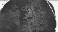 Archived image Webcam Cross-Country Skiing Breitenberg - Kaiseralm 23:00