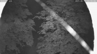 Archiv Foto Webcam Nordisches Langlaufzentrum Breitenberg - Kaiseralm 23:00
