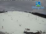 Archived image Webcam Feldberg Ski Resort 09:00