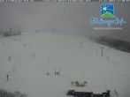 Archiv Foto Webcam Skigebiet Feldberg - Feldberger Hof 11:00