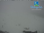 Archiv Foto Webcam Skigebiet Feldberg - Feldberger Hof 13:00