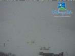 Archiv Foto Webcam Skigebiet Feldberg - Feldberger Hof 15:00