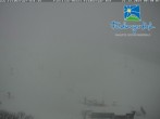 Archived image Webcam Feldberg Ski Resort 02:00