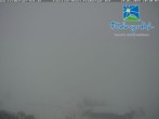 Archiv Foto Webcam Skigebiet Feldberg - Feldberger Hof 09:00