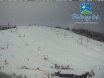 Archiv Foto Webcam Skigebiet Feldberg - Feldberger Hof 11:00