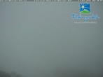 Archived image Webcam Feldberg Ski Resort 01:00