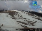 Archiv Foto Webcam Skigebiet Feldberg - Feldberger Hof 11:00