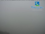 Archiv Foto Webcam Skigebiet Feldberg - Feldberger Hof 05:00
