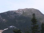 Archived image Webcam Stowe Mountain - Octagon Cafe 11:00