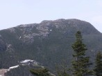 Archived image Webcam Stowe Mountain - Octagon Cafe 13:00