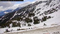 Archived image Webcam Glacier Creek Blackcomb Cam 08:00