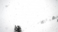 Archiv Foto Webcam Cody Bowl Jackson Hole Wyoming 11:00