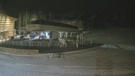 Archived image Webcam Base Bridger Gondola Jackson Hole Mountain Resort 23:00