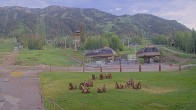Archiv Foto Webcam Sweetwater Teewinot Talstation Jackson Hole 05:00