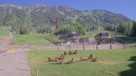 Archiv Foto Webcam Sweetwater Teewinot Talstation Jackson Hole 07:00