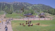 Archiv Foto Webcam Sweetwater Teewinot Talstation Jackson Hole 11:00