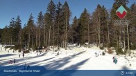 Archived image Webcam Cross Country Skiing Bodenmais 12:00