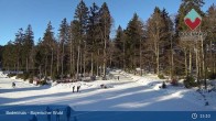 Archived image Webcam Cross Country Skiing Bodenmais 14:00