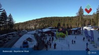 Archiv Foto Webcam Langlaufzentrum Bodenmais - Bretterschachten 09:00