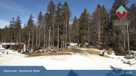 Archiv Foto Webcam Langlaufzentrum Bodenmais - Bretterschachten 11:00