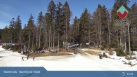 Archiv Foto Webcam Langlaufzentrum Bodenmais - Bretterschachten 13:00