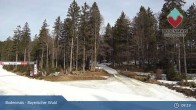 Archived image Webcam Cross Country Skiing Bodenmais 08:00