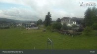 Archiv Foto Webcam Livecam Postwiese Neuastenberg 10:00