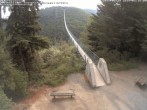 Archived image Webcam Geierlay Suspension Bridge near Mörsdorf 06:00