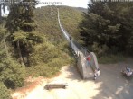 Archiv Foto Webcam Hängebrücke Geierlay - Mörsdorf 11:00