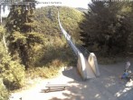 Archiv Foto Webcam Hängebrücke Geierlay - Mörsdorf 10:00