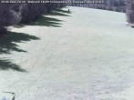Archiv Foto Webcam Oberkirnach - Skilift Schlossberg 11:00