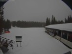 Archiv Foto Webcam Nordåsen Skistadion - Maura 11:00