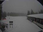 Archiv Foto Webcam Nordåsen Skistadion - Maura 13:00