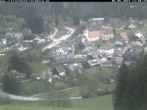 Archiv Foto Webcam Altglashütten - Schwarzenbachlift 11:00
