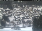 Archived image Webcam Altglashütten - ski lift 11:00