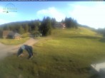 Archiv Foto Webcam Feldberg: Grafenmattlift 17:00