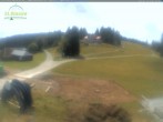 Archiv Foto Webcam Feldberg: Grafenmattlift 11:00