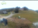 Archiv Foto Webcam Feldberg: Grafenmattlift 19:00