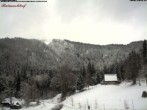 Archiv Foto Webcam Feldberg-Seebuck Raimartihof 11:00